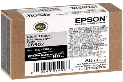 Epson Light Black Ink Cartridge C13T850700