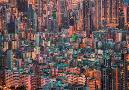 The Hive Hong Kong HQC (Compact Box 1500 Stukjes)