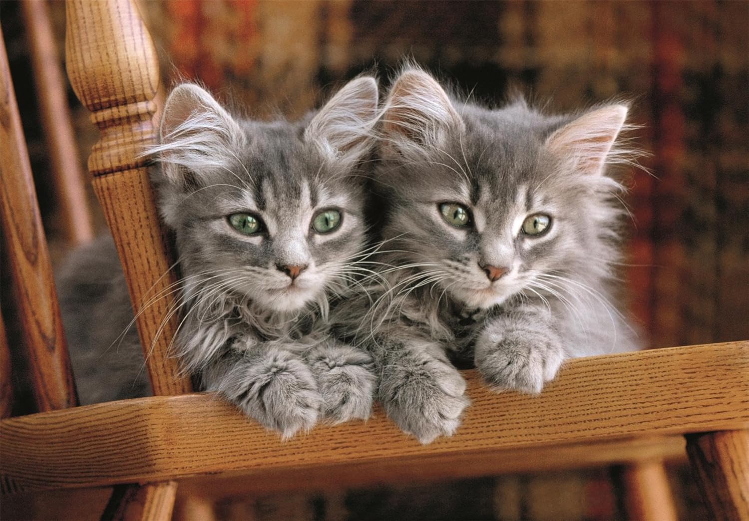 Clementoni - Clementoni Legpuzzel Kittens 500st.