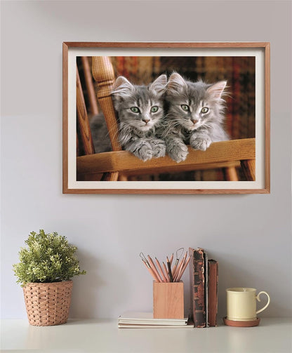 Clementoni - Clementoni Legpuzzel Kittens 500st.