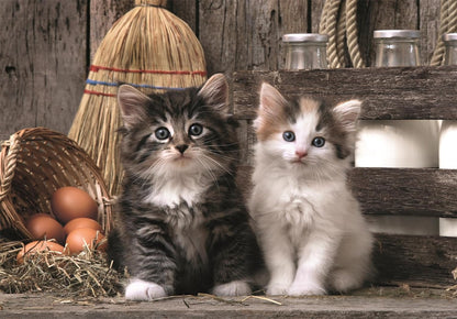 Clementoni - Clementoni Puzzel - Schattige Kittens 1000st.