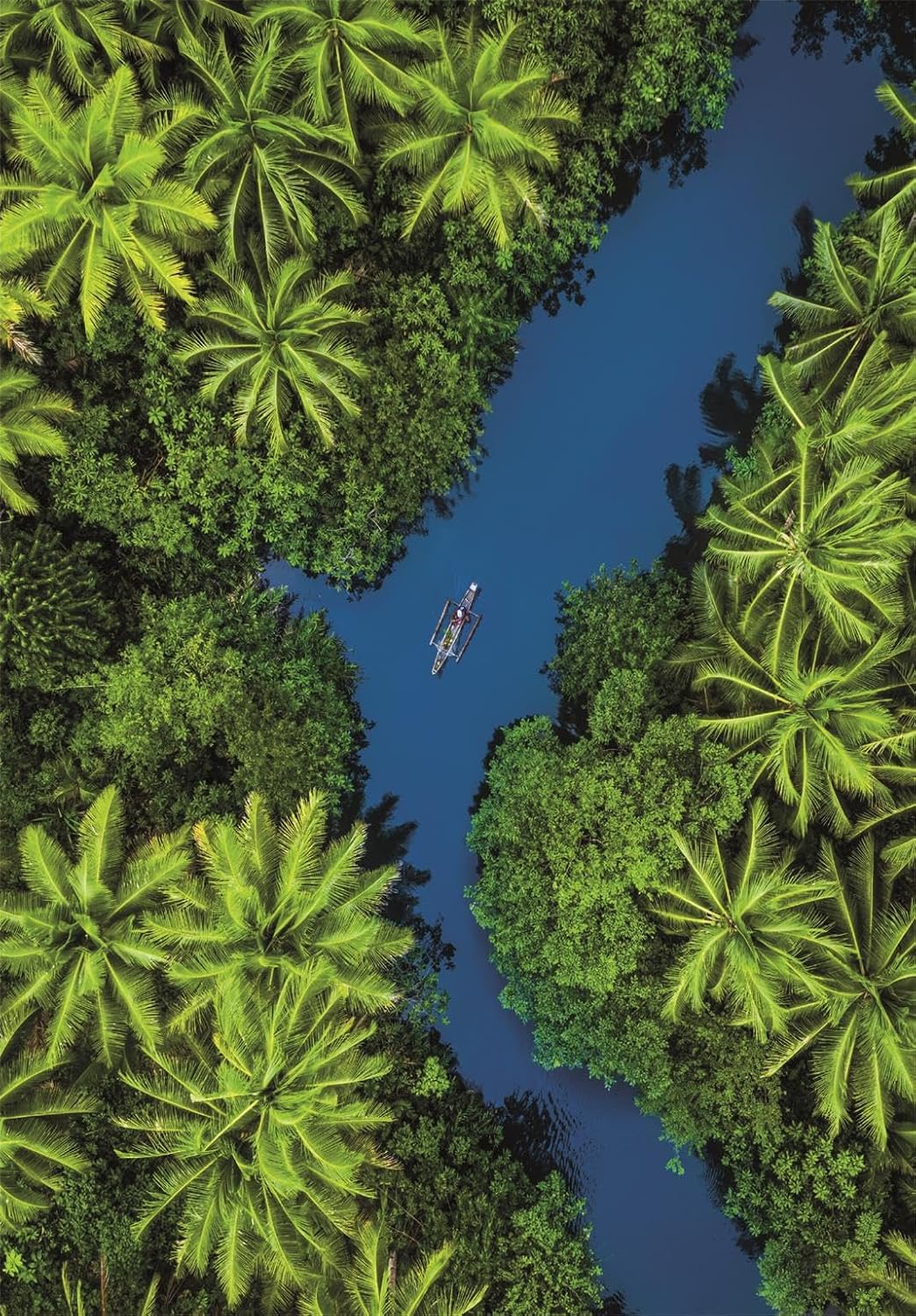 Clementoni - Puzzel met 500 stukjes voor volwassenen en jongeren, collectie, thema Tropical Aerial View, tropische weergave, compacte doos met poster, cadeau-idee, made in Italy, 49 x 36 cm, 35592