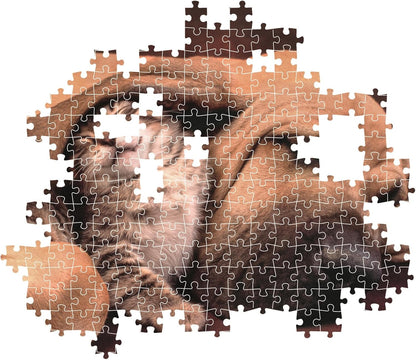 Puzzel 500 HQC CUDDLES COMPACT BOX