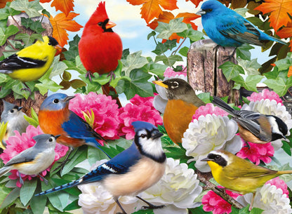 Ravensburger Garden Birds 500 Piece Jigsaw Puzzle for Adults and Kids Age 10 Years Up