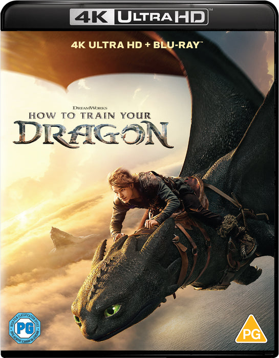 How to Train Your Dragon