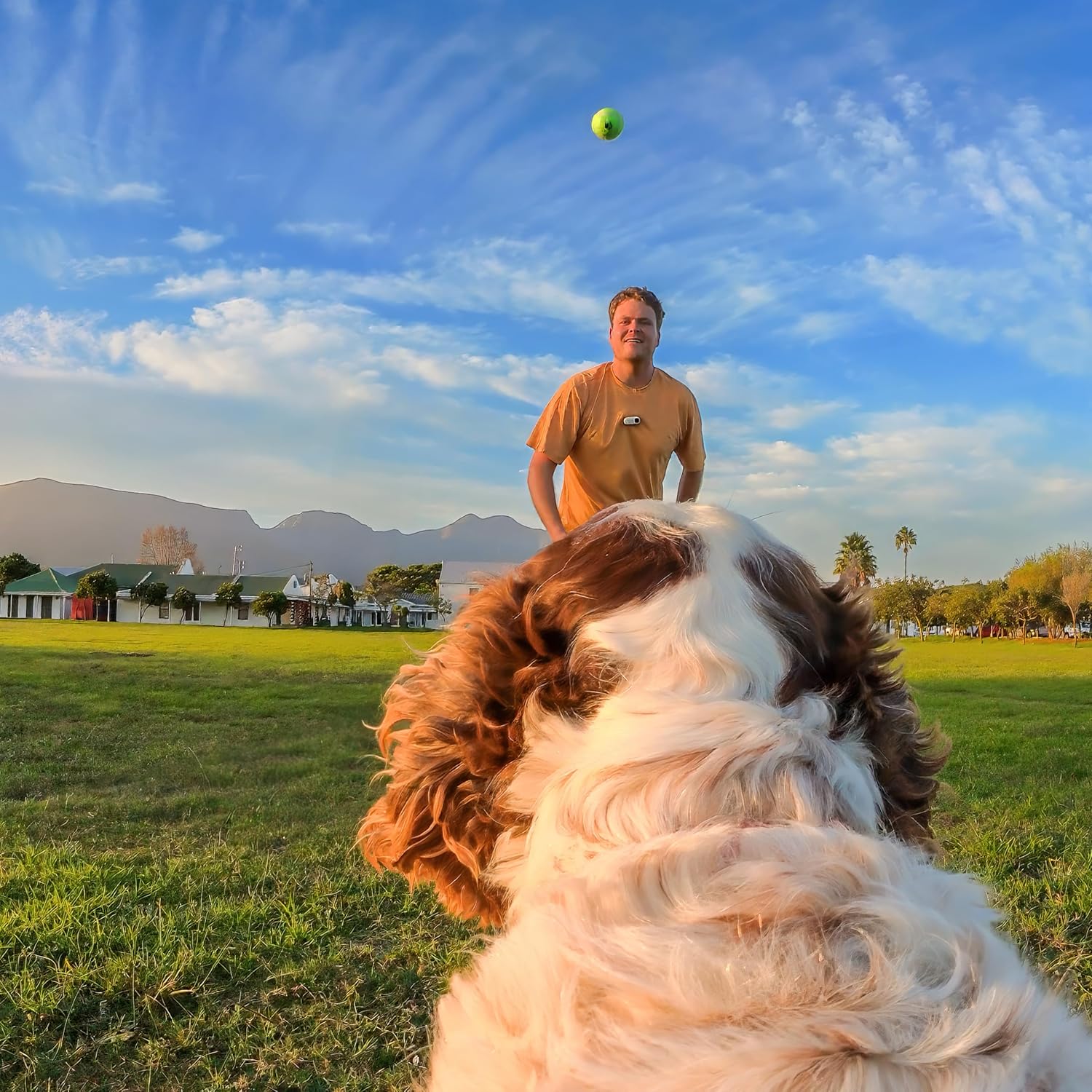 Insta360 - Go 3/Go 3S Pet Harness Mount Size S