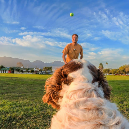 Insta360 - Go 3/Go 3S Pet Harness Mount Size S