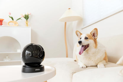 Ptcube Ip/Wi-Fi 3 Mp 2.8 Ir Mic/Spk