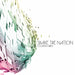 Shake The Nation-Colliding Grace