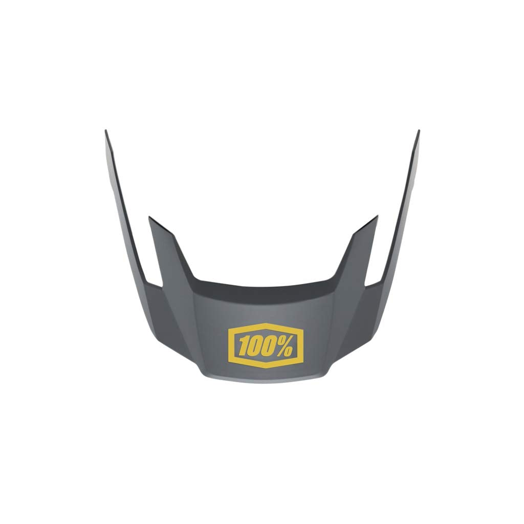 100% ALTEC Replacement Visor Charcoal XS/S