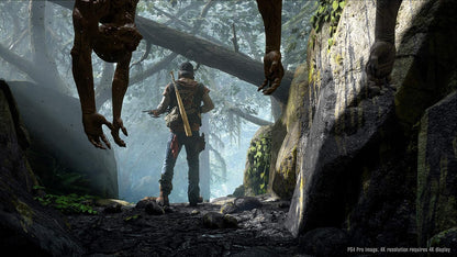 PlayStation 4 - Days Gone (Hu/Cz/Sk/Multi In Game)