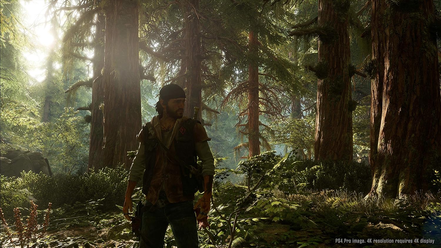PlayStation 4 - Days Gone (Hu/Cz/Sk/Multi In Game)