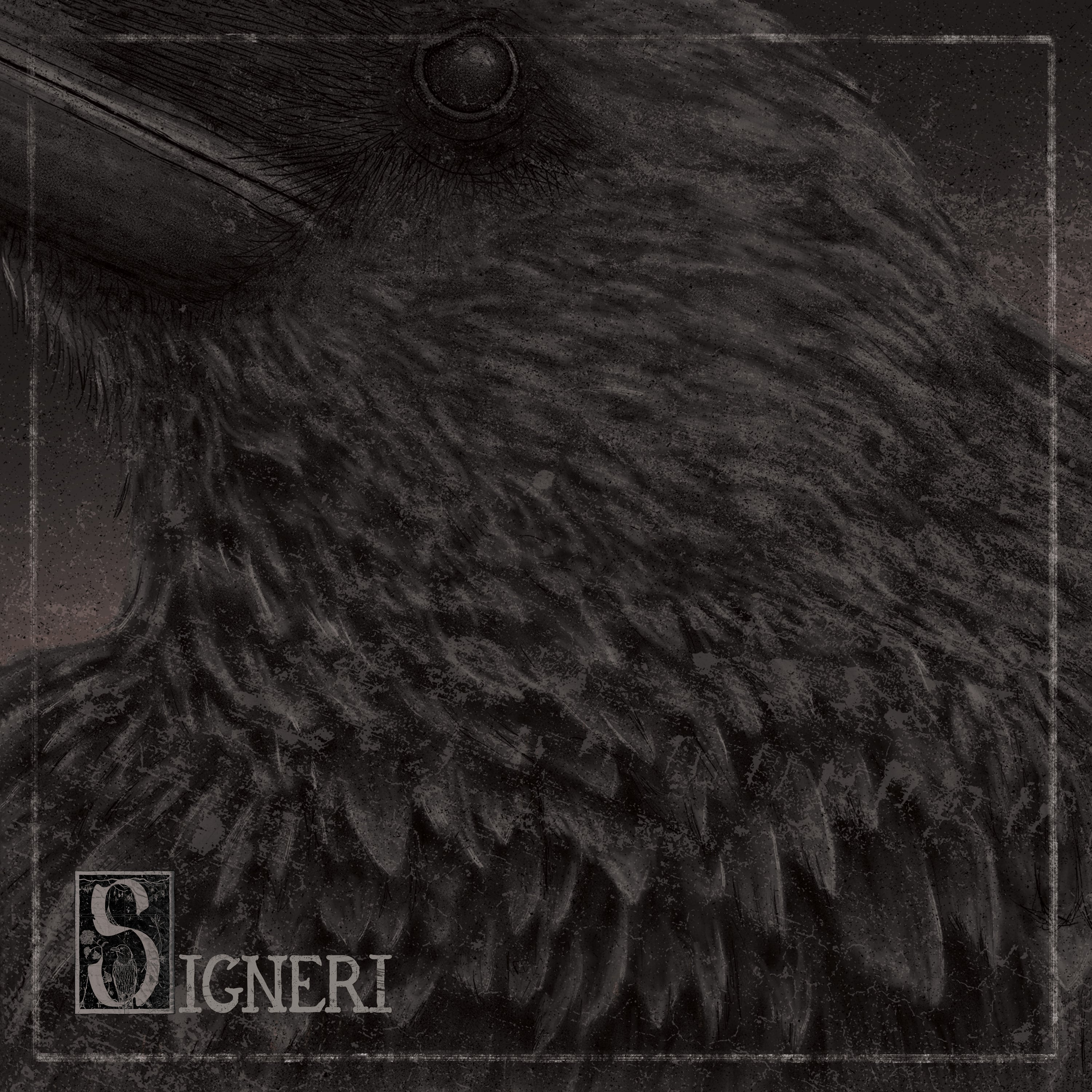 Signeri