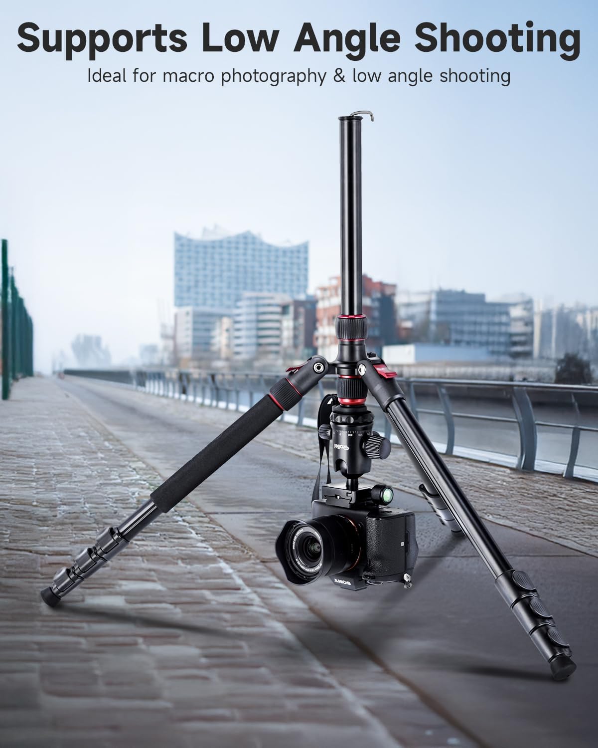 Rollei Compact Traveler No. 2 Black, 180cm Camera Stand with 360° Ball Head Lightweight Aluminum Travel Tripod with Monopod Function Complete Tripod Units for DSLR & Phone with Phone Holder