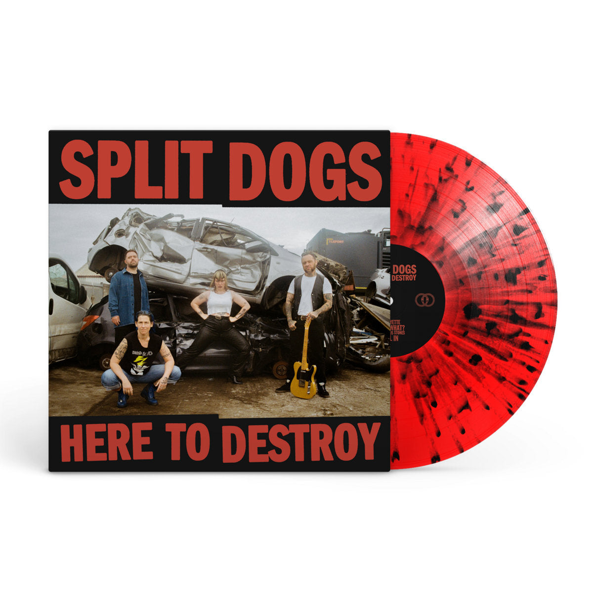 Here to Destroy