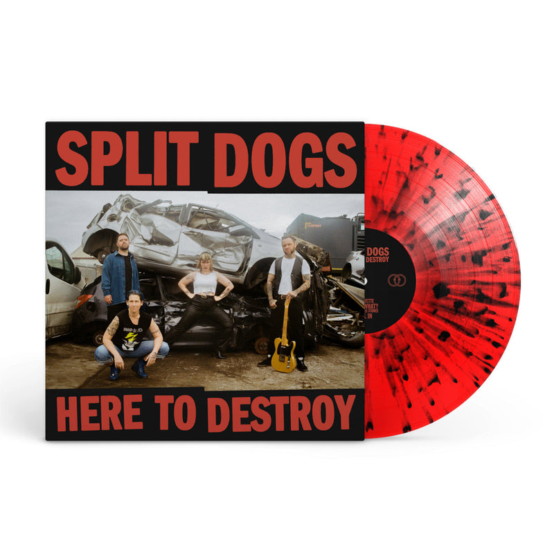 Here to Destroy