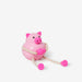Palimals (Painted Pig