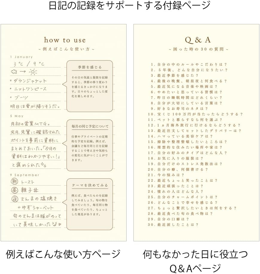 DESIGNPHIL Midori 12900006 Diary, 12 Month Consecutive Door, Blue