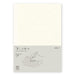 DESIGNPHIL 15294006 Midori Notebook, MD Notebook, A5, Horizontal Ruled A