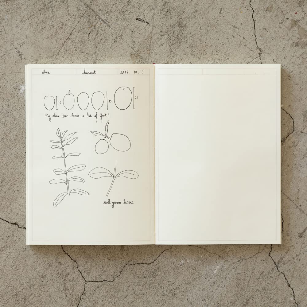 Designphil Midori 15309006 MD Notebook, Journal, A5, Frame A
