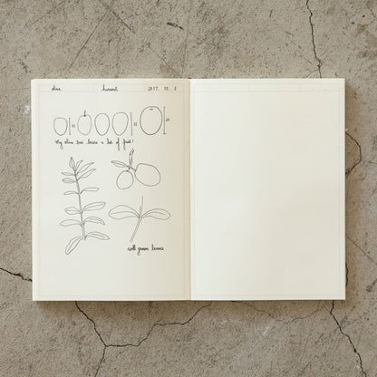 Designphil Midori 15309006 MD Notebook, Journal, A5, Frame A