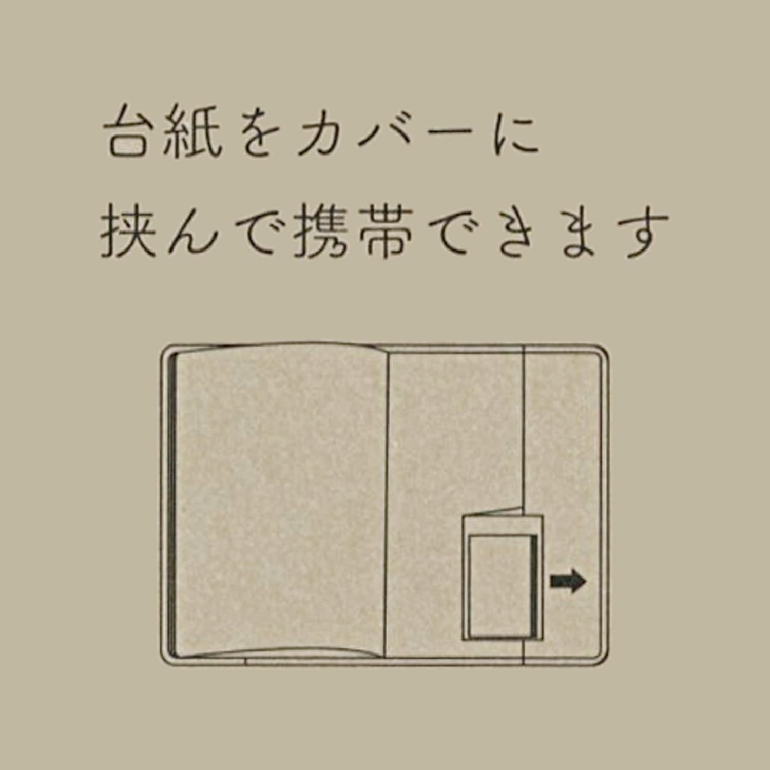 Midori 19092006 Sticky Notes, Sticky Paper, Doing, Cat Pattern