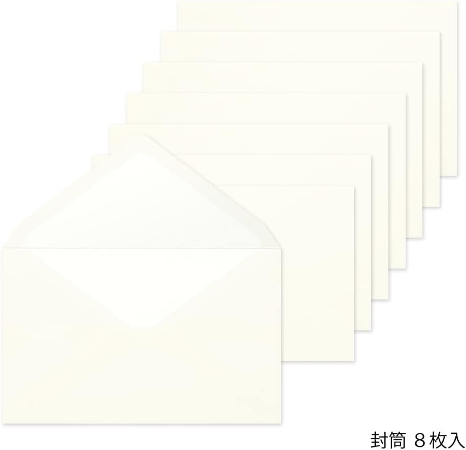DESIGNPHIL 20584006 Midori Envelopes, MD Envelopes, Horizontal A