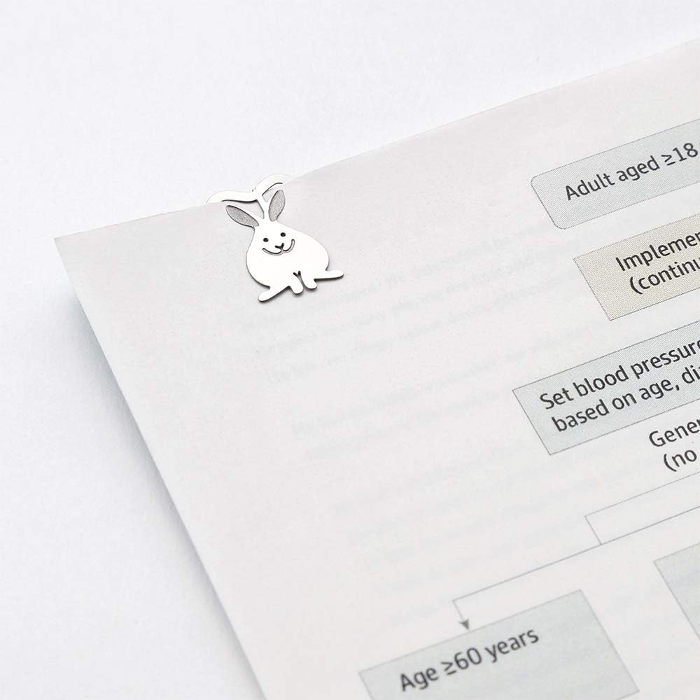 E-Clips, Rabbit