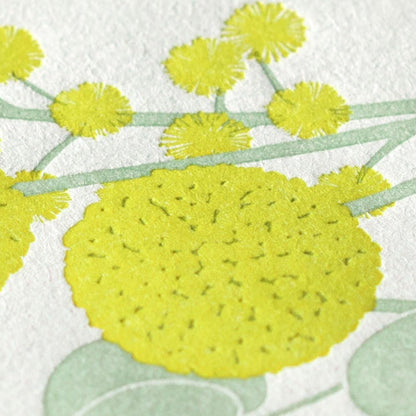 Letter Press, Mimosa