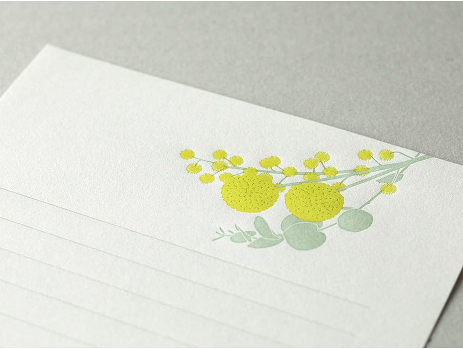 Letter Press, Mimosa