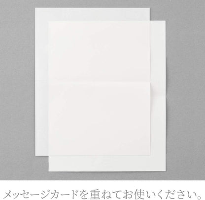 DESIGNPHIL Midori 88538006 MD Card, Cotton