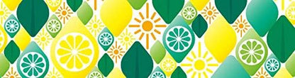 MT ex 'Citrus' Washi - Cinta adhesiva (1 rollo