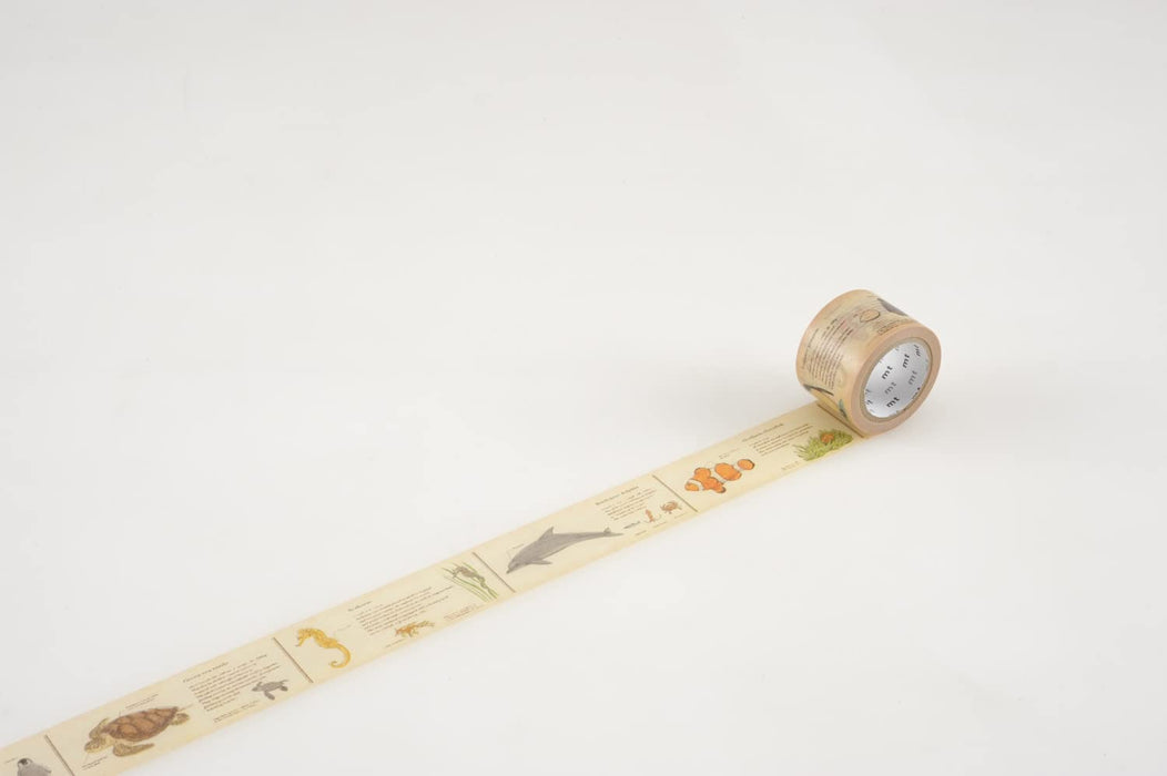 mt ex - encyclopedia / marine creature