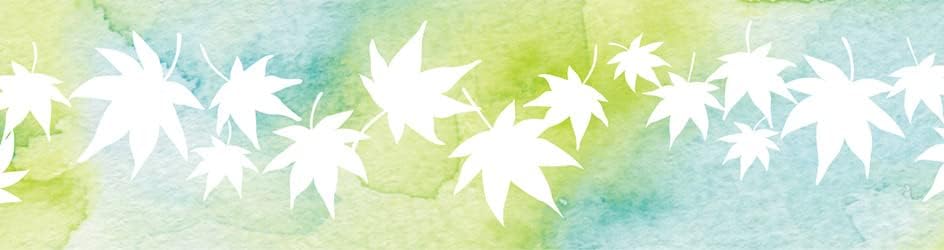mt fab Tracing Paper Tape - Summer Maple - 1 Roll