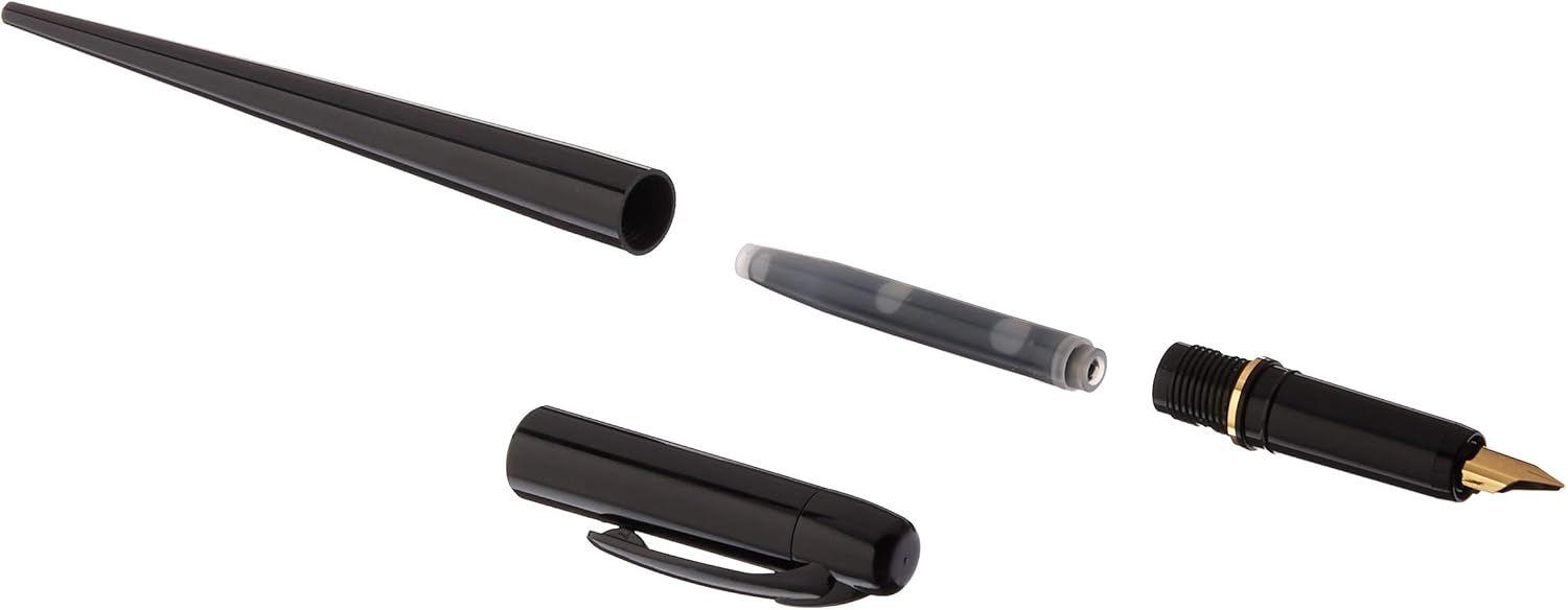 プラチナ萬年筆　PLUTINUM Platinum Fountain Pen, Black Body (DPQ-700A#1