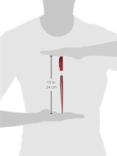 PLATINUM Fountain Pen, Red Body (DPQ-700A#10