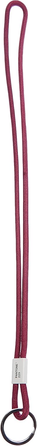 Pantone Diseño de llavero Key Chain Long, color lila, berenjena 229