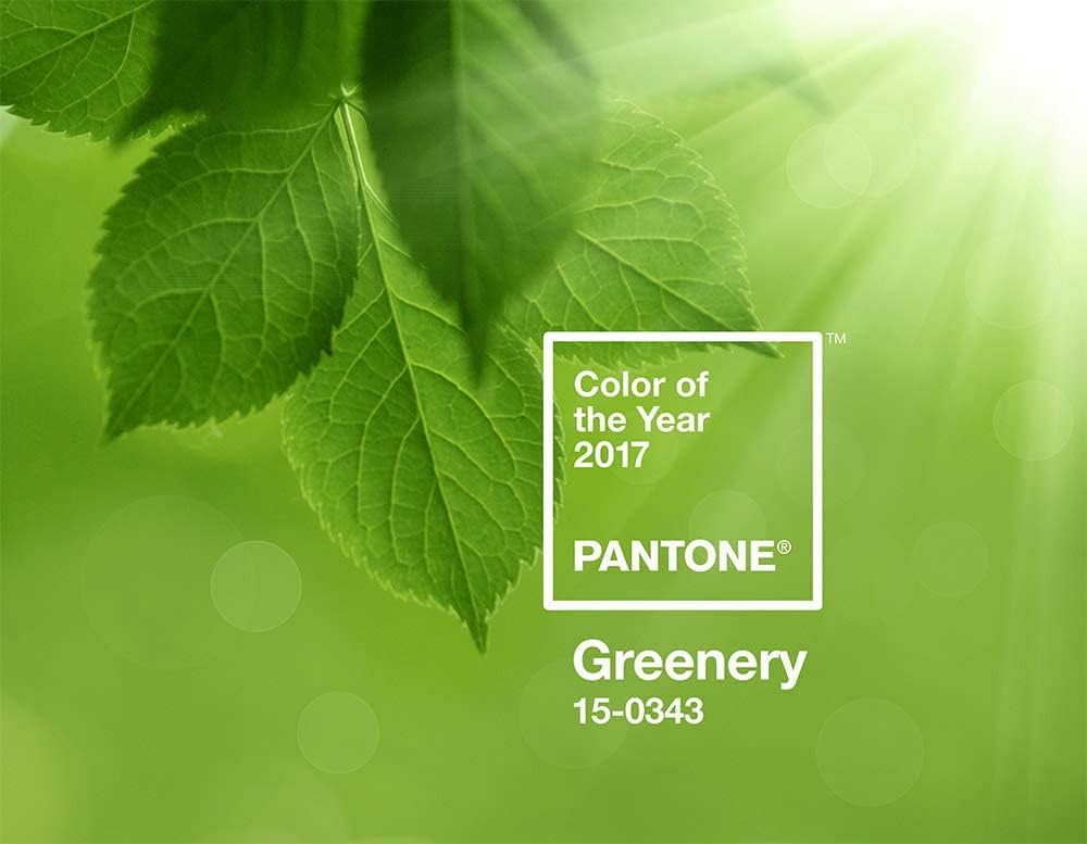 Copenhagen Design Pantone Key Chain L, long key hanger, nylon, green, Greenery 15-0343, Color of The Year