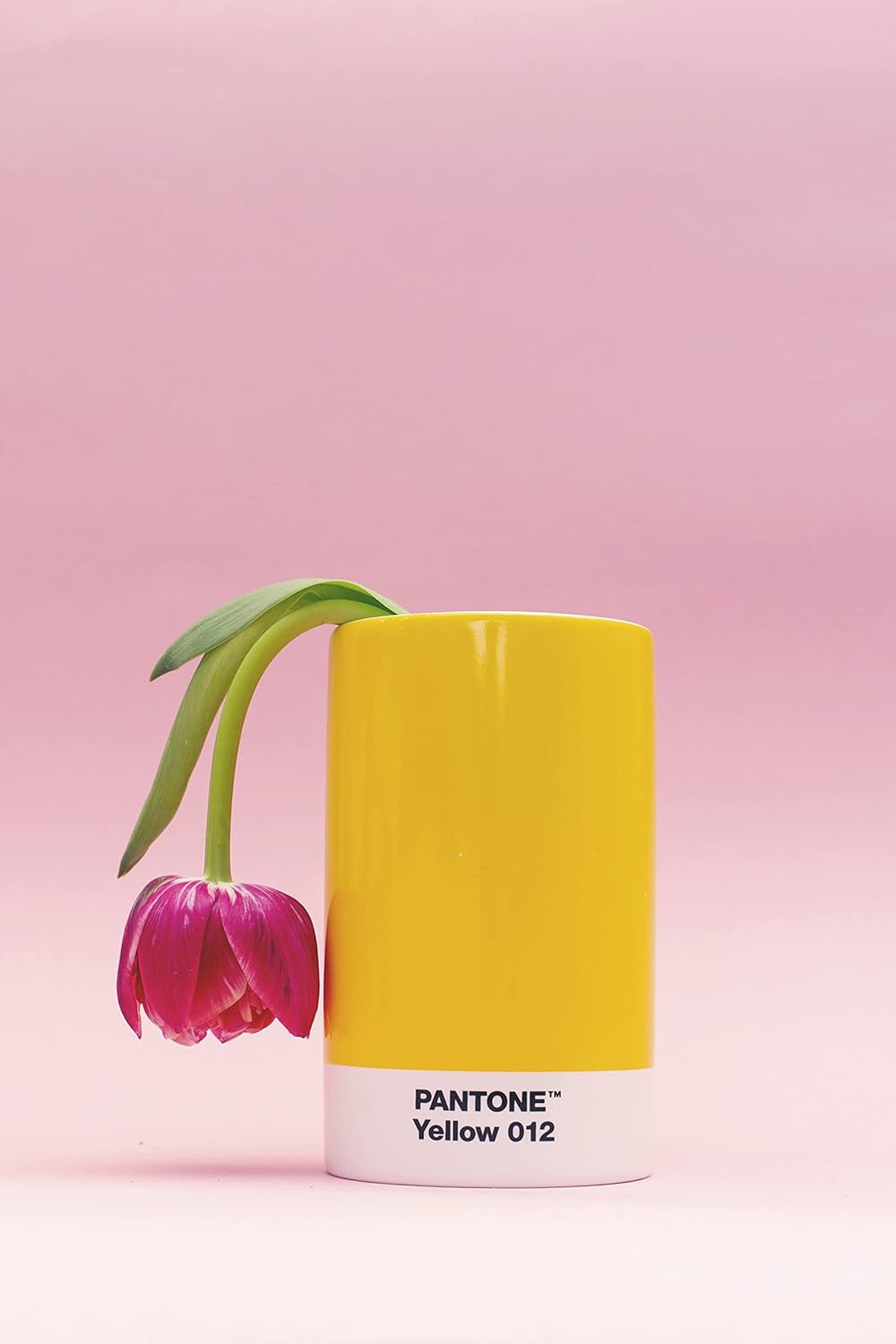 Pantone Yellwo 012 - Organizador de escritorio (porcelana), color amarillo
