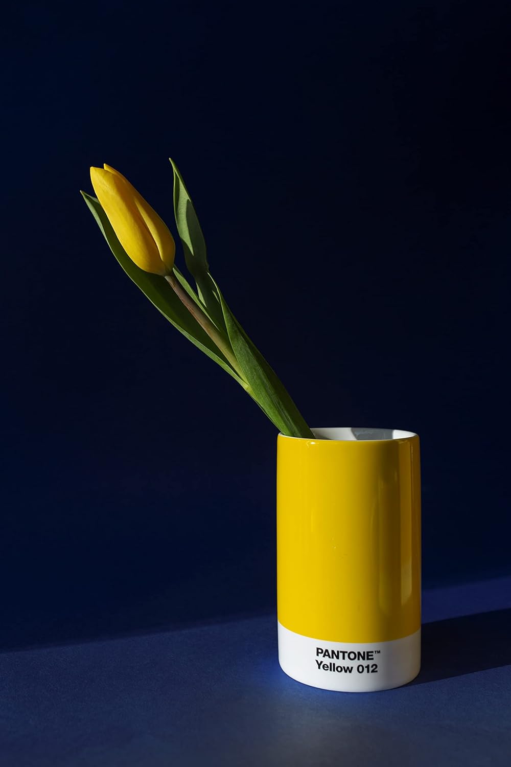 Pantone Yellwo 012 - Organizador de escritorio (porcelana), color amarillo