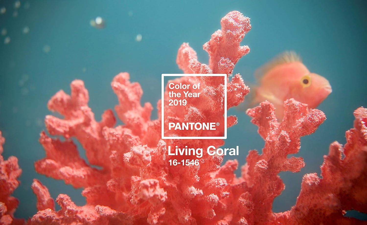 Copenhagen Design PANTONE Key Chain Long, Living Coral 16-1546 (COY19), 101311546