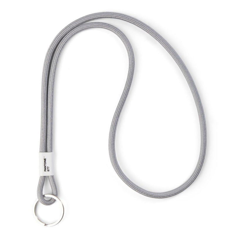 Pantone Design Key Chain Long | Key Chain Robust and Colourful | Long | 876 |
