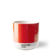Cortado Thermo Cup