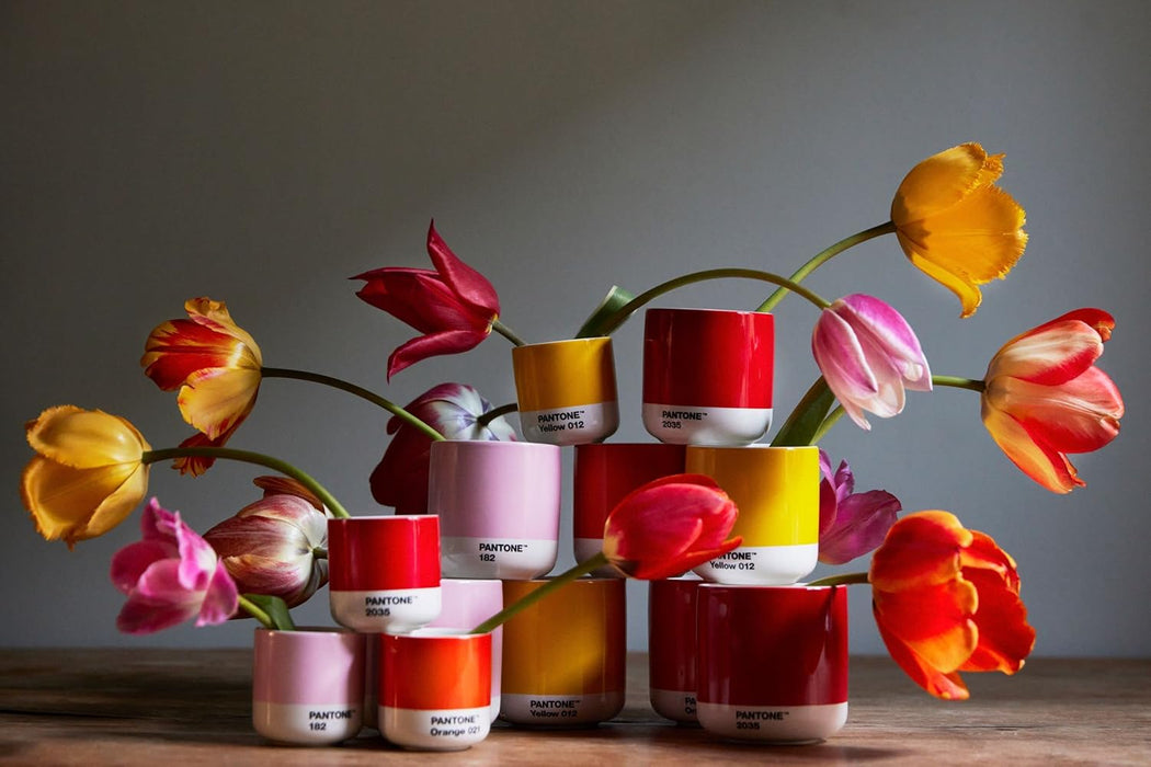 Copenhagen design Pantone Macchiato Cup - Handleless Porcelain Ceramic Coffee Mug - 3.34oz/100ml, Yellow 012