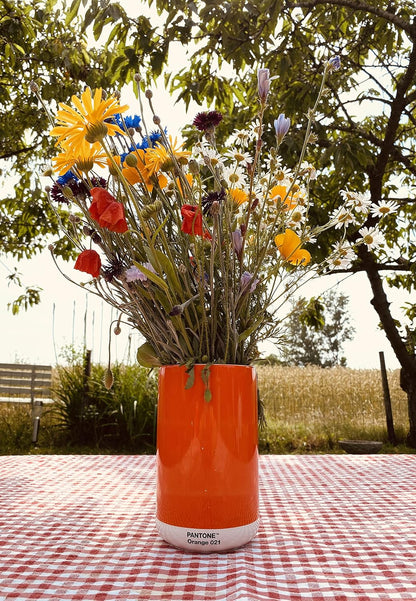 Corgi PANTONE Porcelain Vase with Gift Box, Jar, Decorative Flower Vase, 1 Litre, Orange 021c