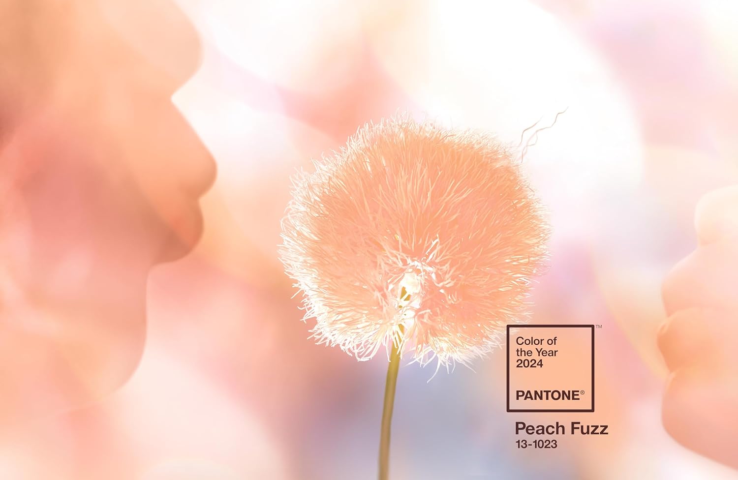 Pantone COY 2024 Pages, Ruled Notebook, 192 Pages, Peach Fuzz 13-1023