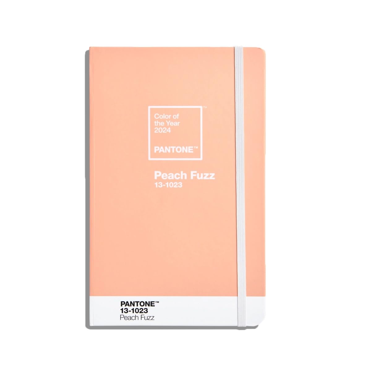 Pantone COY 2024 Pages, Ruled Notebook, 192 Pages, Peach Fuzz 13-1023