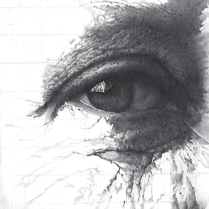 Caran D`Ache Technnalo Pencil: 3B