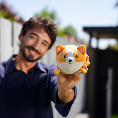 LEGAMI - Super Soft Plush Plush Corgi Theme, Mini Size, with Personalised ID Card, Stands Alone, 14 x 15 x 12 cm, Orange