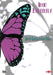 Iron Butterfly: Live